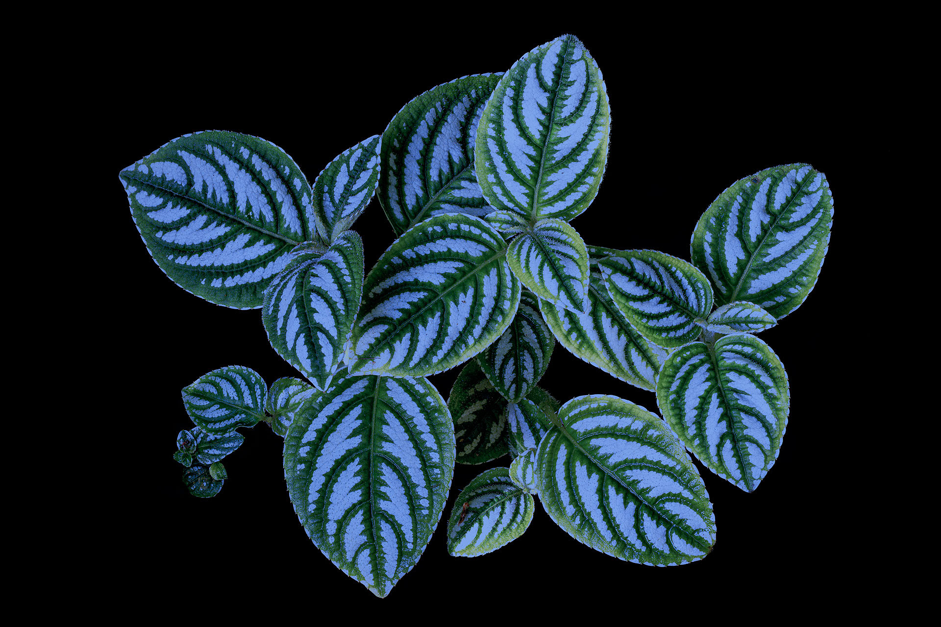 A 05 12