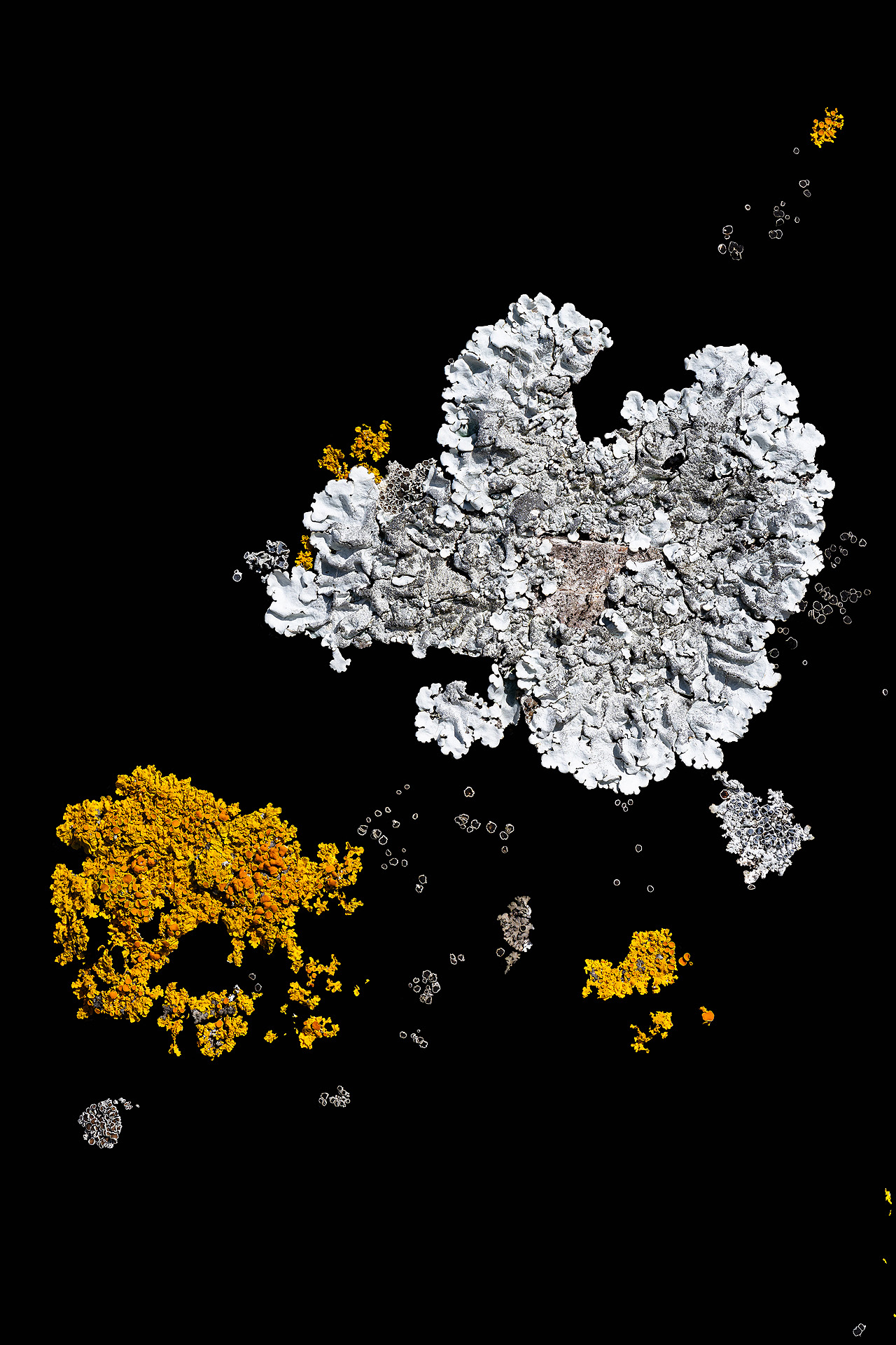 A 01 25