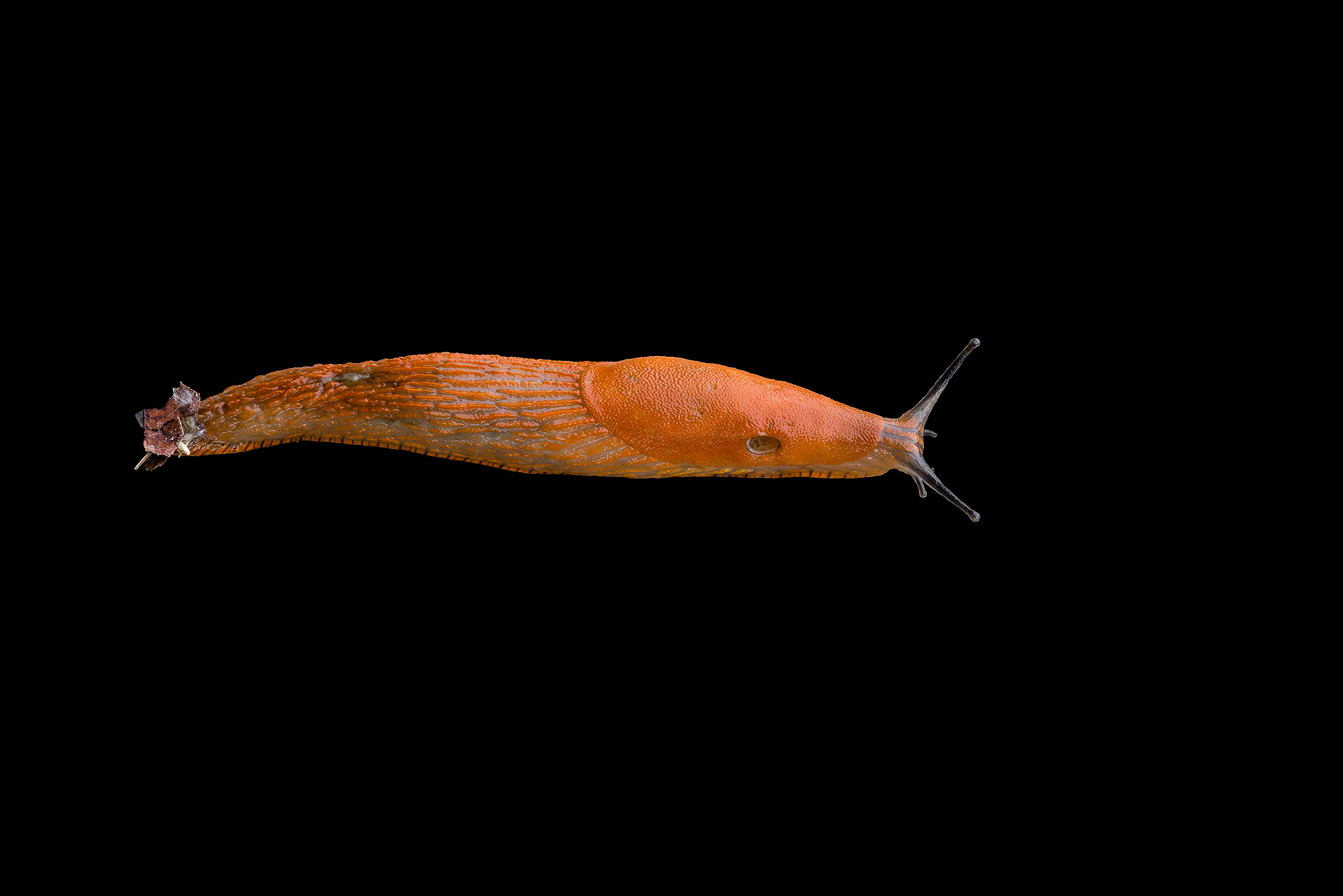 A 04 18
