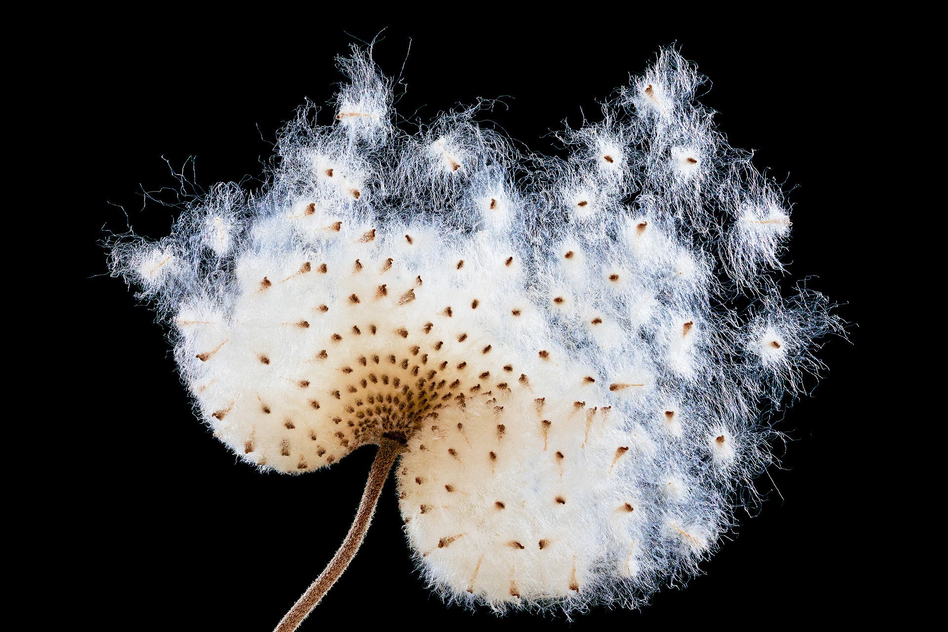 S 01 33