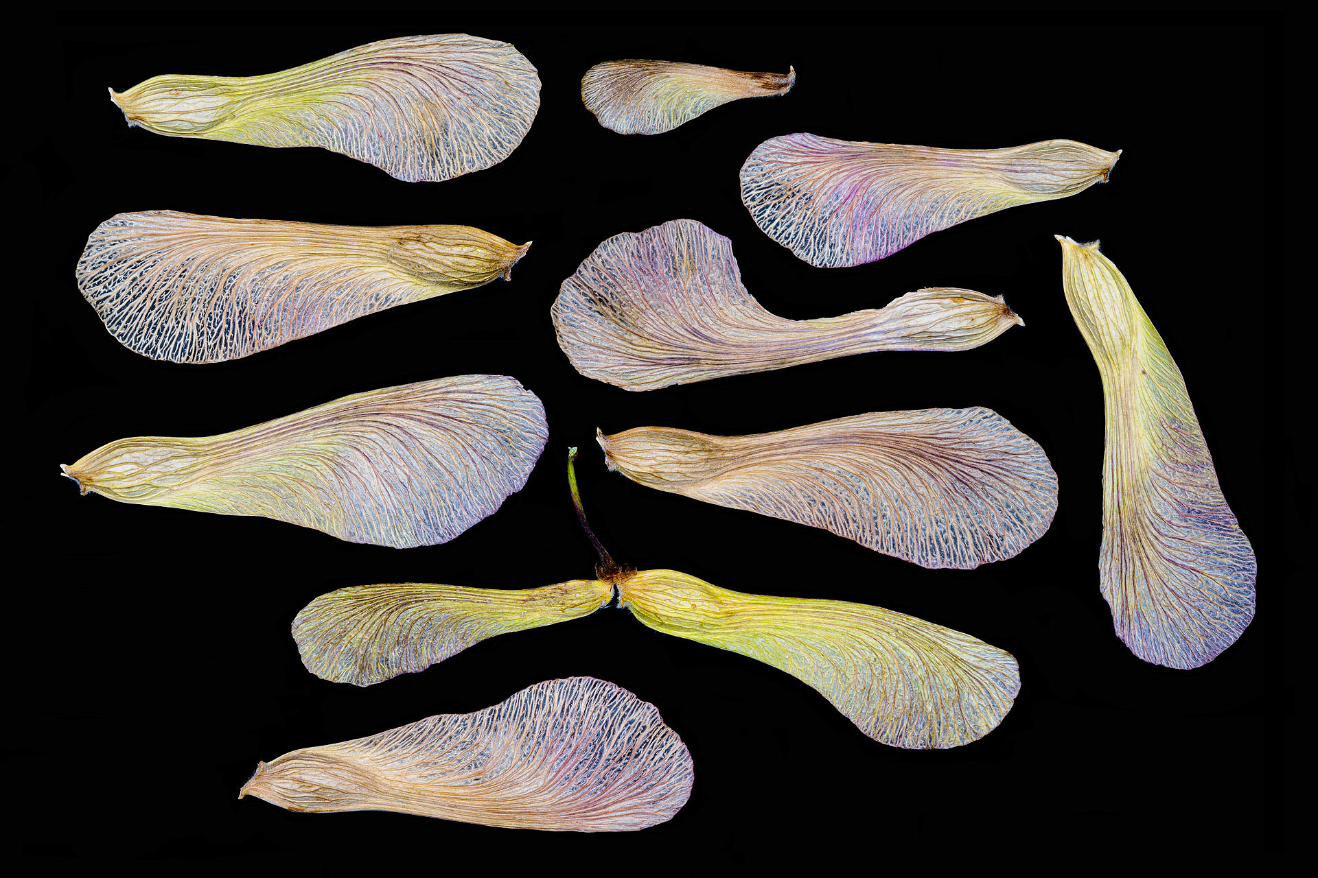 S 01 57