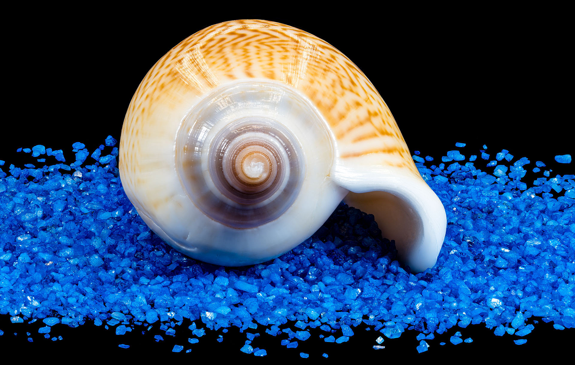 S 04 19