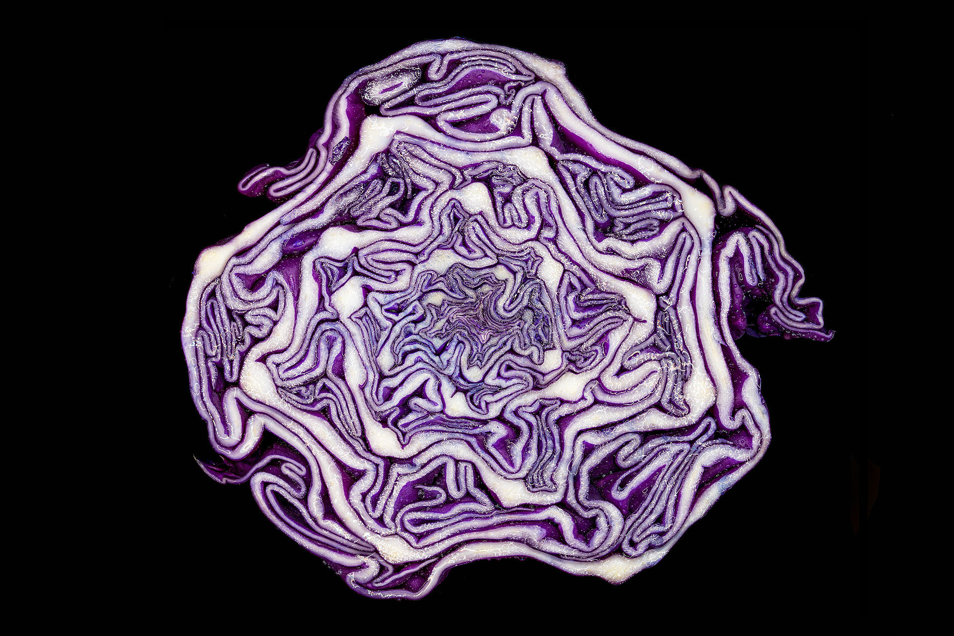 S 05 12