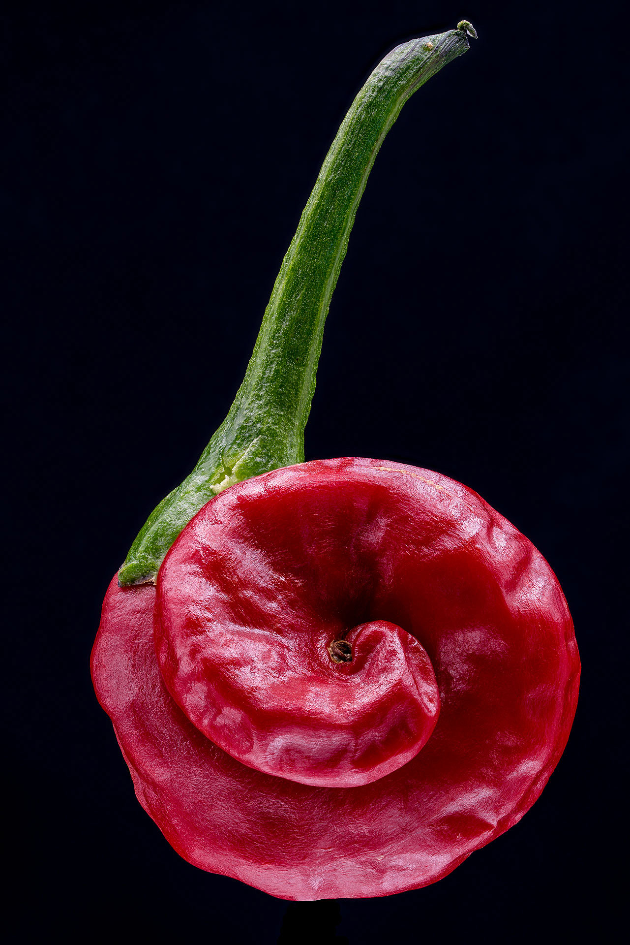 S 05 15